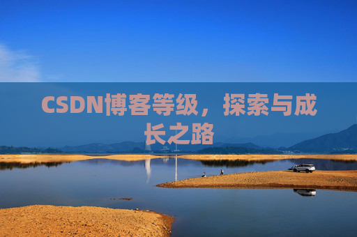 CSDN博客等级,探索与成长之路